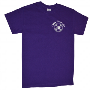 Ordain Women Now T-Shirt